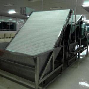 Wholesale Shrimp Grading Machine, Adopts Numerical to Control Specification of Shrimp from china suppliers