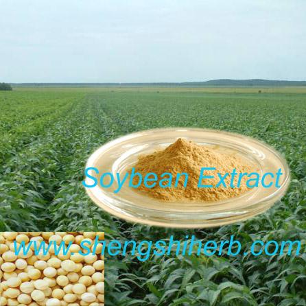 Wholesale Soybean Extract (Isoflavones 10%-90%) from china suppliers