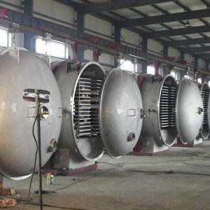 Wholesale Vacuum Freeze Dryer Plant Machine, Can Process Various Kinds of Foods from china suppliers