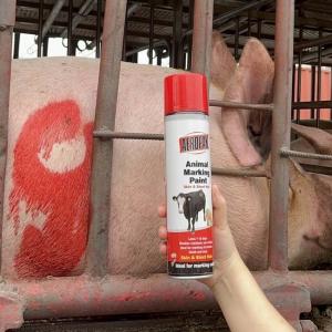 Wholesale Aeropak Long Lasting Livestock Marking Paint Marker Paint For Cattle And Pigs from china suppliers