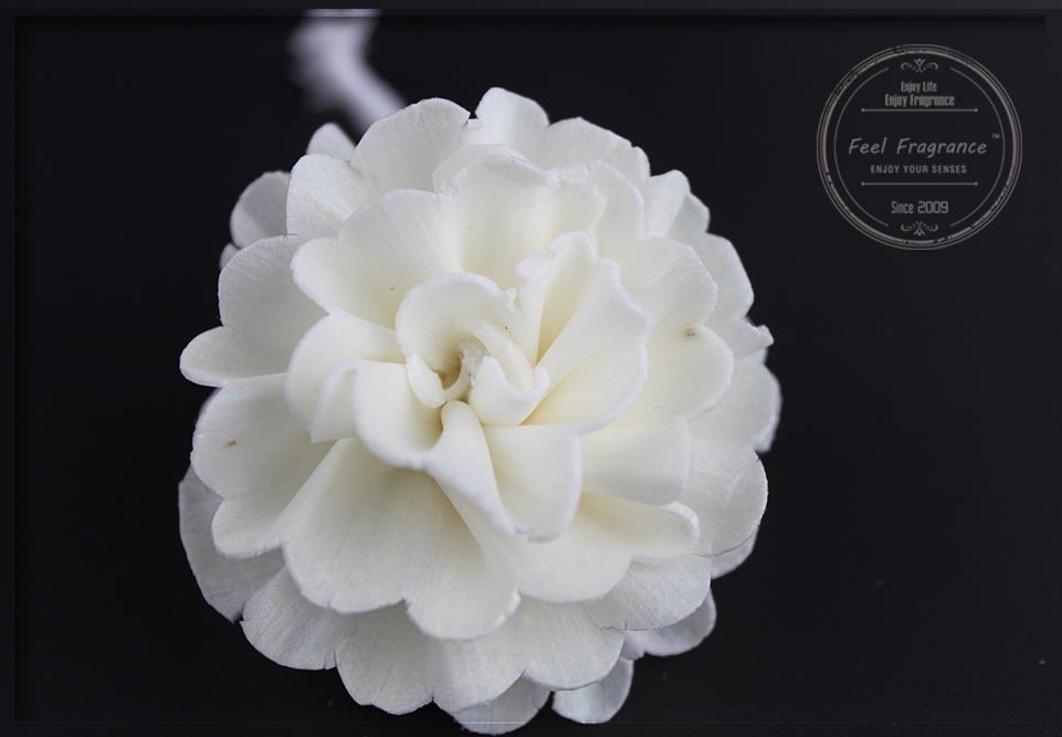 Wholesale Personalized Dried Aroma 10cm Sola Flowers Diffuser Flower White from china suppliers