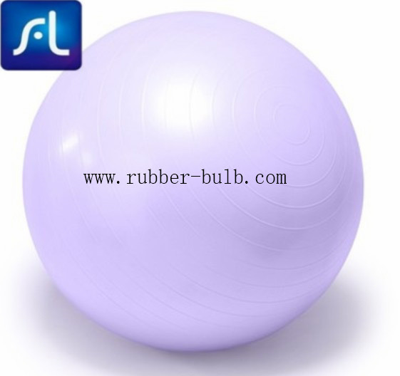 Wholesale Home Pilate Fitness 55cm Stability Balance Ball with Inflation Pump from china suppliers