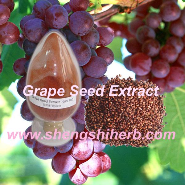 Buy cheap Grape Skin Extract from wholesalers