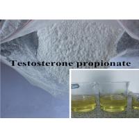 Testosterone propionate winny cycle