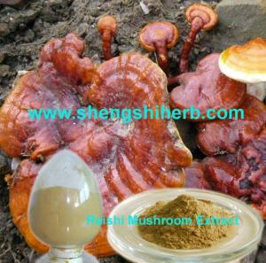 Wholesale Reishi Extract from china suppliers