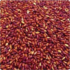 Wholesale Red Yeast Rice from china suppliers