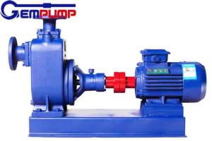 Wholesale Cast Iron 0.75KW Self Priming Water Pump 2900RPM Self Priming Sewage Pump from china suppliers