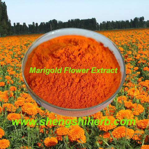 Wholesale Marigold Flower Extract (Zeaxanthin 5%-60%) from china suppliers