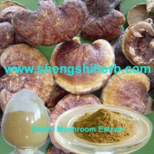 Wholesale Reishi Mushroom Extract from china suppliers