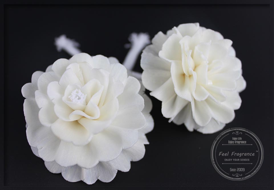 Buy cheap Personalized Scented 9cm Dried Sola Flowers For Beauty Salon from wholesalers