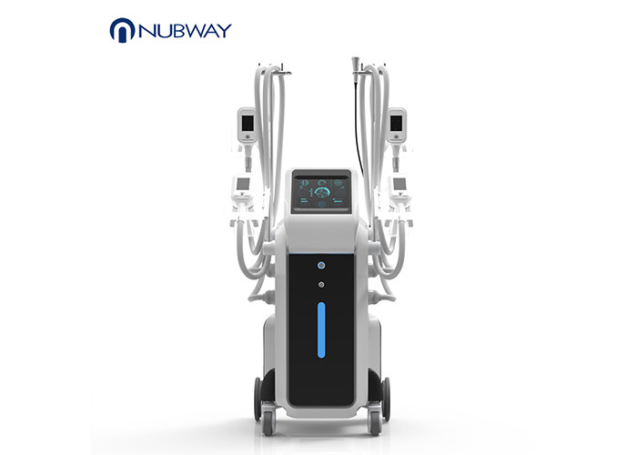 Wholesale Unique 4 Handles Work Together Cryolipolysis Slimming Machine Fat Freezing Cryo from china suppliers