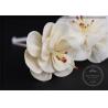 Buy cheap Aromatherapy Diffuser Sola Flowers 8cm Handmade Material Flowers from wholesalers