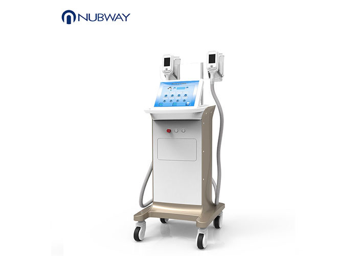 Wholesale Painless Freeze Fat Burning Machine , Professional Cellulite Treatment Machine from china suppliers