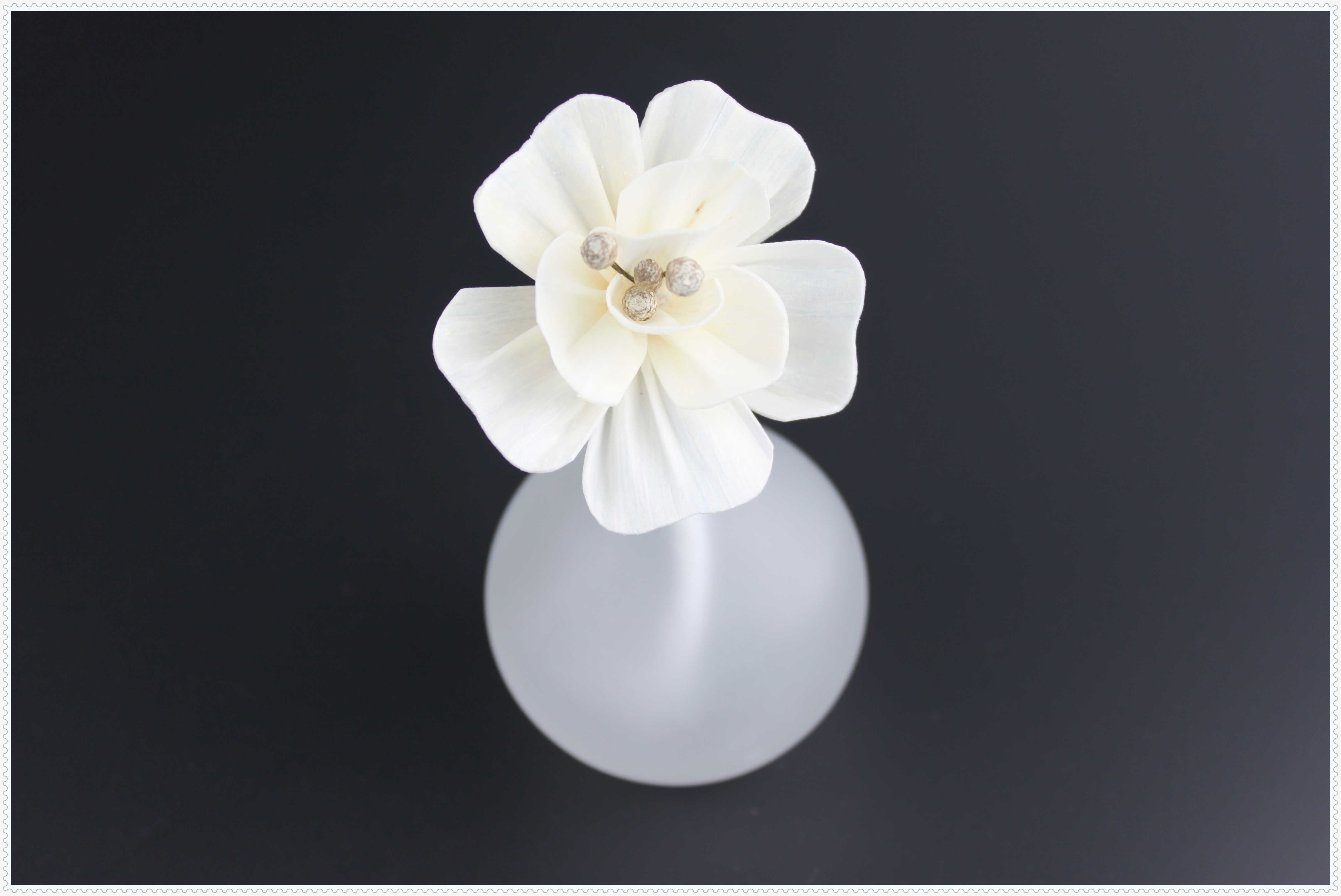 Aromatherapy Diffuser Sola Flowers 8cm Handmade Material Flowers