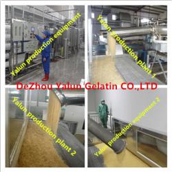 Dezhou Yalun Import & Export Co.,LTd