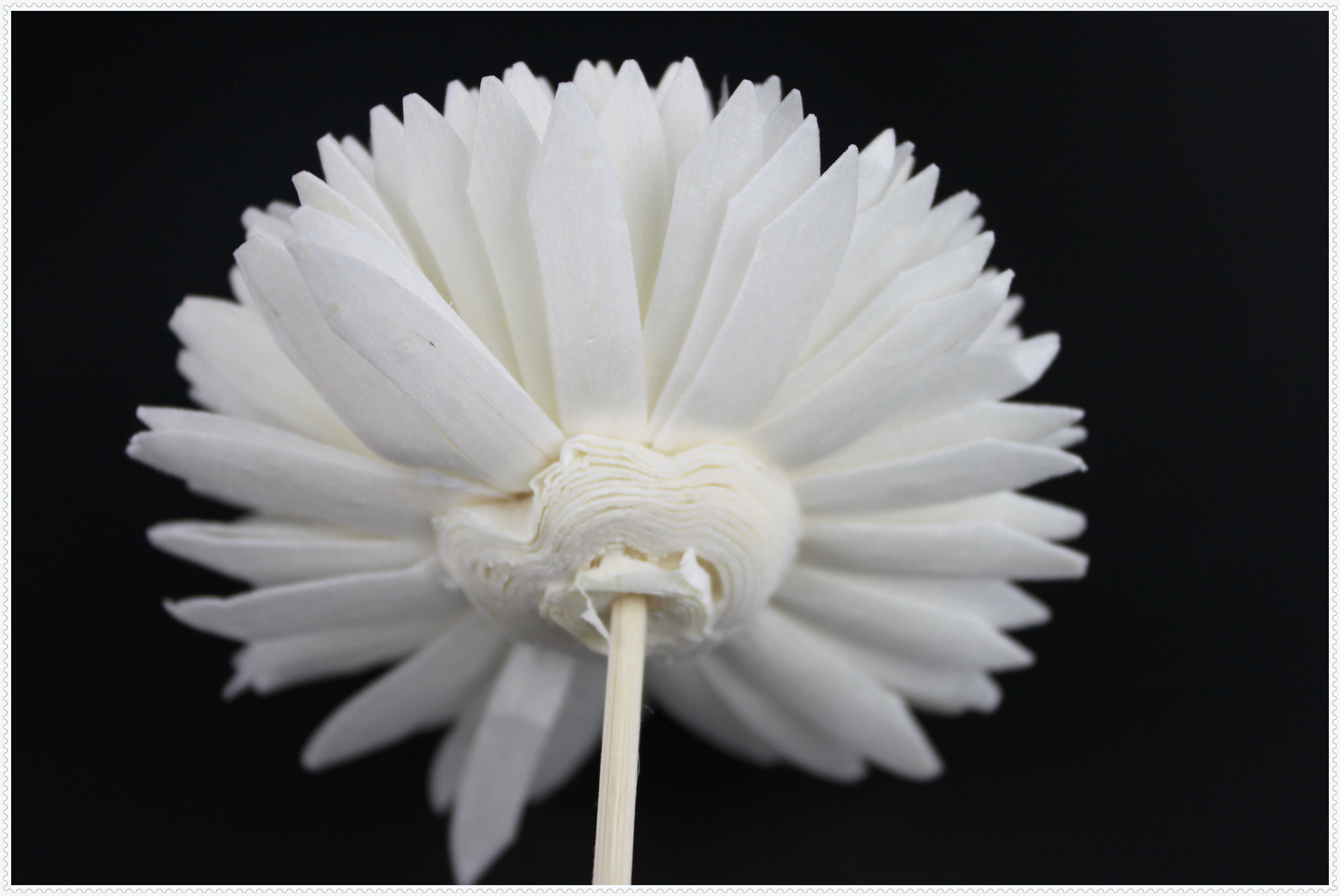 Beautiful Indoor 9cm Dried Diffuser Flowers Handmade Artificial Flowers