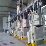 peanut sunflower safflower vegetable china oil crew machine presser crusher