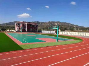 Wholesale Waterproof Silicon Pu Material , School Runing Track Material from china suppliers