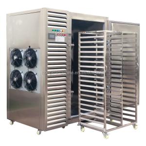 Wholesale Frozen french fries freezer dryer machine fruit meat freeze drying machine from china suppliers