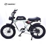 GOMID Electric Bike 500W 750W 1000W Power Bicycle Full Suspension Retro Mountain