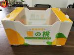 Watermark Printing Correx Packaging Boxes For Fruits