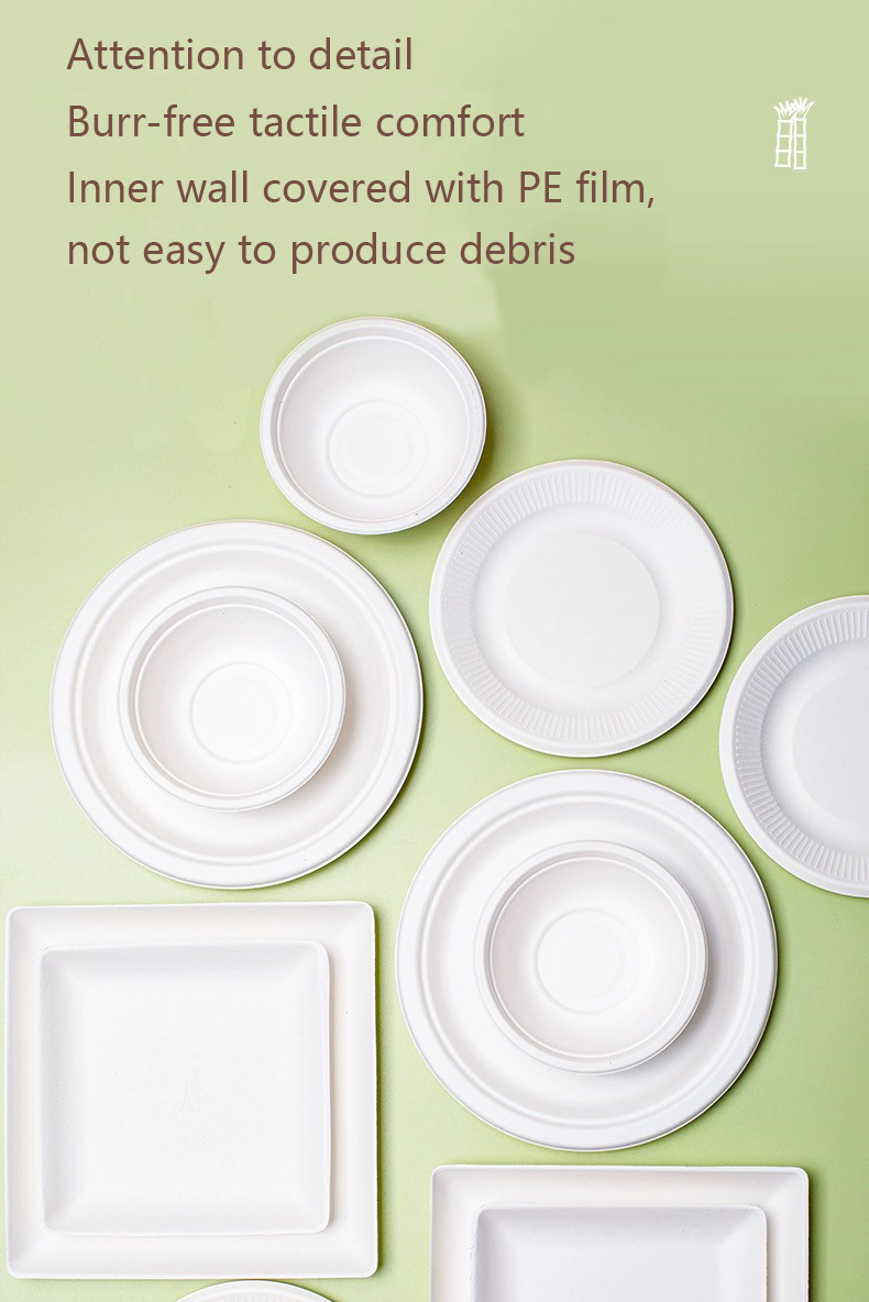 Eco-friendly Pulp Burger Box Clamshell Tableware Set Bagasse Takeaway Box Biodegradable Food Packing Container
