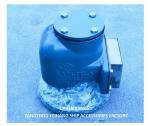 CAST IRON MARINE TANK AIR VENT HEAD533HFB-50A WITH SUS316L FLOATER NBR GASKET 0