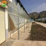 High Yield Hydroponic Greenhouse for Tomatoes Vegetables and Flowers in Any
