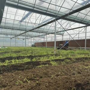 Wholesale 30 Day Return Refunds for Water Pipe Agricultural System in Commercial Greenhouses from china suppliers