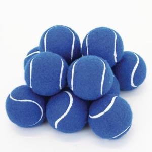 Wholesale bule pet ball from china suppliers
