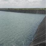 Green HDPE Geomembrane Liners 0.2-3.0mm Thickness for Aquaculture Fish Shrimp