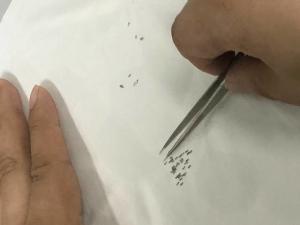 Wholesale Medical device micro machining for OEM contract manufacturing from china suppliers