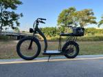 Richbit H300 Fat Electric Scooter Cycle High Speed 50km/H 1000w 48v 16ah 26x4.0