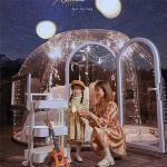 ISO See Through Bubble Tent Security Assurance Camping Bubble Dome