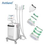 Painless 3 Handles Cryolipolysis Fat Freezing Machine Body Double Chin Removal