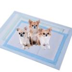 Disposable Pet Training Pads Waterproof Puppy Cat Pee Training Pads