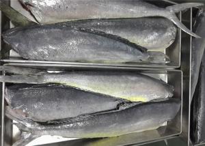 Wholesale Coryphaena Hippurus 2KG Whole Round Pacific Frozen Mahi Mahi from china suppliers
