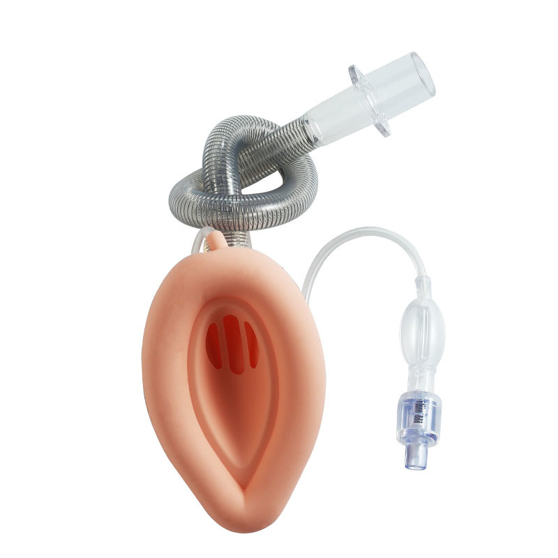 Disposable Intubating Laryngeal Mask Airway With IPM For Difficult Airway