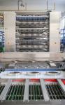 SS304 Frame Pita Bread Arabic Bread Production Line 3000pcs Per Hour