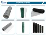 Galvanized Welded Wire Mesh for Corten Steel Hardware Cloth at Affordable Prices