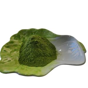 Wholesale Seaweed Polysaccharide 40% Seaweed Fertilizer Seaweed Extract Green Powder from china suppliers