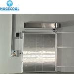 Cold Room Walk in Freezer for Sea Food Meat Frozen Food -18c Nature Small