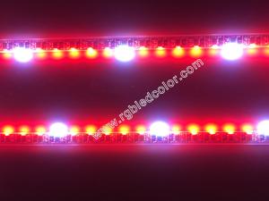 Wholesale dream color rgb side emitting strip light from china suppliers
