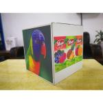 CMYK Single Pass Printer