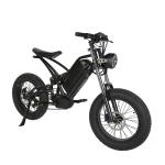 Style 48v1000w High Power Electric Mountain Bike for Adults Alloy Frame Fat Tire