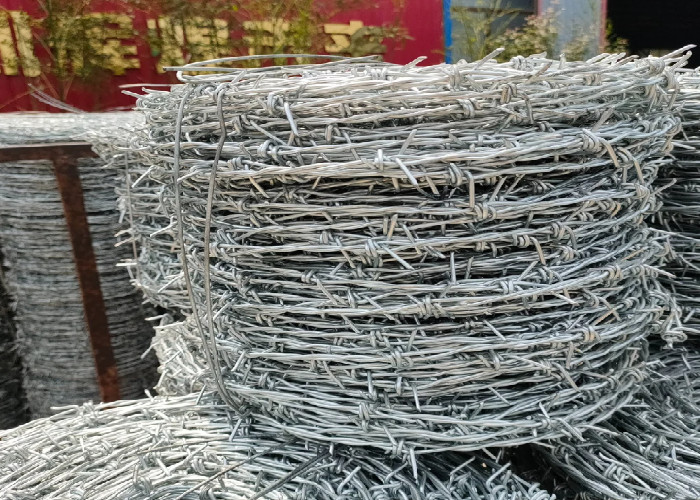 Hot Dipped Galvanized Barbed Wire Weatherproof Livestock Security Fencing