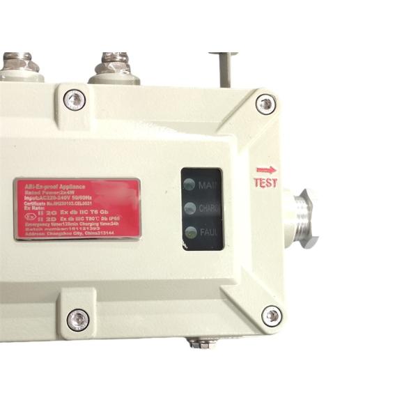 Zone 1 Flameproof Emergency Light 2*5Watt For Marine Applications