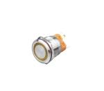 NPM8 Series Mental PushButton IP65/IP67 Industrial Control Circuit Pushbutton