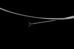 Long Shelf Life Disposable Biopsy Forceps With Ultra Smooth Plastic Coating