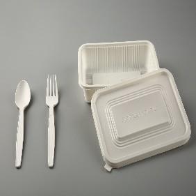 Wholesale 450ml 15oz PLA Tableware With Lid , Biodegradable Disposable Lunch Box 6.9&quot;X4.7&quot;X1.6&quot; from china suppliers